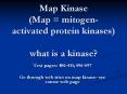 Map Kinase (Map = mitogen-activated protein kinases) what i