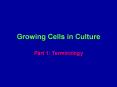 Growing Cells in Culture Part 1: Terminology Troubleshootin