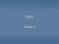 Cells Chapter 3 Mitotic phase (M): dividing phase Prophas