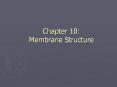 Chapter 10: Membrane Structure Membrane Structure Membran