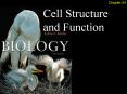 Outline Cell Theory Cell Size Prokaryotic Cells Eukaryoti