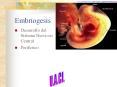 Embriogesis Desarrollo del Sistema Nervioso Centra