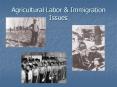 Agricultural Labor & Immigration Issues California s Firs