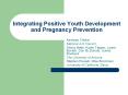Integrating Positive Youth Development and Pregnanc