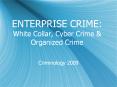 ENTERPRISE CRIME: White Collar, Cyber Crime & Organize