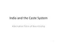 India and the Caste System Alternative Form of Neo-Kinship 