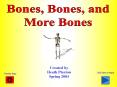 I focused on the skeletal system with this project because 