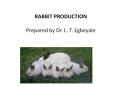 Caecotrophy is a very important part of the rabbit 