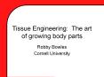 Tissue Engineering: The art of growing body parts Robb