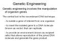 Genetic Engineering Genetic engineering involves th
