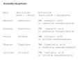 Base Nucleoside Nucleotide (base + ribose) (nucleoside 
