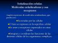 Se alizaci n celular. Mol culas se alizadoras y su