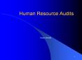 Human Resource Audits Hasan Mustafa Human Resource Audit? 