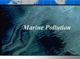 Marine Pollution * * * * * * * * * * * * * * Pollution i