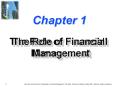 The Role of Financial Management The Role of Financia