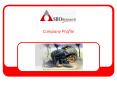 Company Profile * * * * OUTLINE Who we are Mission an