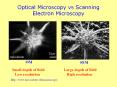 Optical Microscopy vs Scanning Electron Microscopy 25m