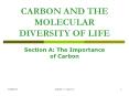 CARBON AND THE MOLECULAR DIVERSITY OF LIFE Section A: Th