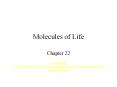 Molecules of Life Chapter 22 Great Idea: A cell s majo