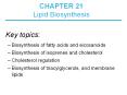 For Lehninger Textbook ... Lipid Biosynthesis Key topic