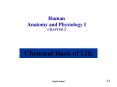 Human Anatomy and Physiology I CHAPTER 2 Chemical Basis o