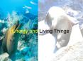 Energy and Living Things Outline Energy Source