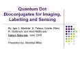 Quantum Dot Bioconjugates for Imaging, Labelling and Sensin