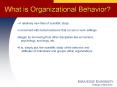 What is Organizational Behavior? A relatively new field o