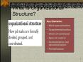What Is Organizational Structure? Key Elements: Wor