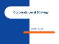 Corporate-Level Strategy MANA 5336 Directional Strategie