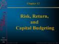 Chapter 12 Risk, Return, and Capital Budgeting Review Ite