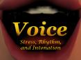 Stress, Rhythm, and Intonation The Expression of the Week