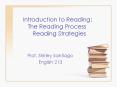 The Reading Process Reading Strategies Prof. Shirle