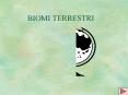BIOMI TERRESTRI Indice Foresta decidua Foresta tropical
