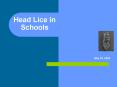 Head Lice in Schools May 22, 2009 Each school year: Al