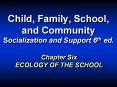 Child, Family, School, and Community Socialization an