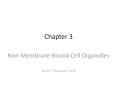 Chapter 3 Non-Membrane-Bound Cell Organelles James F