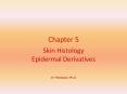 Chapter 5 Skin Histology Epidermal Derivatives J.F