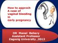 EARLY PREGNANCY BLEEDING CASES AND CLINICAL APPROCH