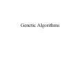 Genetic Algorithms Overview Genetic Algorithms: a gentl