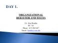 ORGANIZATIONAL BEHAVIOR AND ISSUES Dr. Alan Hamlin BU 31