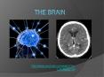 http://www.youtube.com/watch?v=Li5nMsXg1Lk The Split-Brai