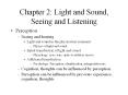 Chapter 2: Light and Sound, Seeing and Listening Perceptio