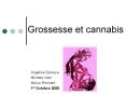 Grossesse et cannabis Angelina Darreye Mich le Weil Ma c