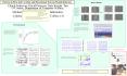 Patterns in EEG that Correlate and Discriminate betwee