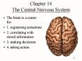 Chapter 14 The Central Nervous System The brain is a cente