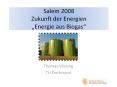 Salem 2008 Zukunft der Energien  Energie aus Biogas  Thoma