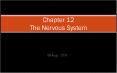 Chapter 12 The Nervous System Biology 3201 September 200