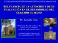 iv curso monogr fico de neuroling  stica clinica. valenci