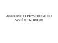 ANATOMIE ET PHYSIOLOGIE DU SYST ME NERVEUX * * * * * * * * 